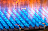 Hamshill gas fired boilers